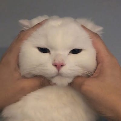 Hatta Rajasa avatar