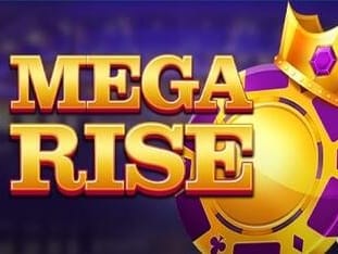 Mega Rise game cover