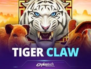 Tiger Claw game cover